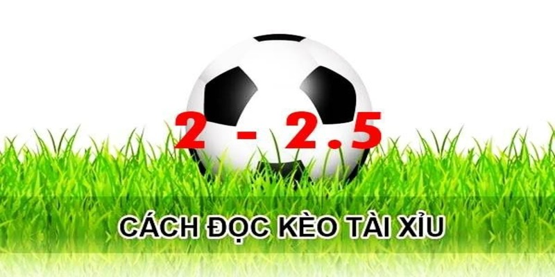 Lưu ý khi chơi cá độ kèo tài xỉu 2 2.5 là gì?
