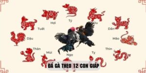 Các bước tham gia đá gà theo 12 con giáp Kubet77