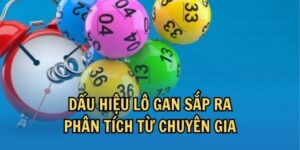 dấu hiệu lô gan sắp ra thumb